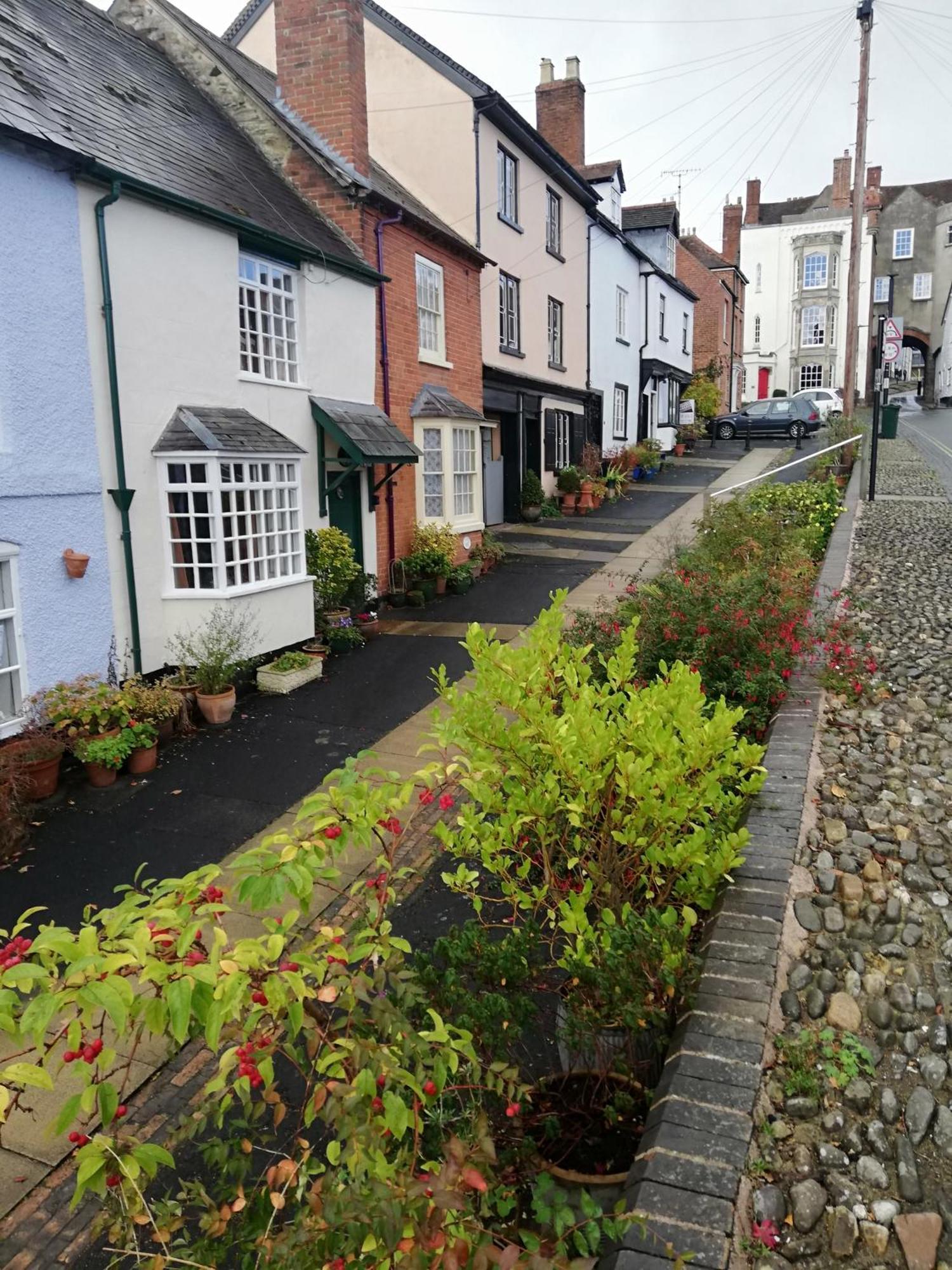 Toad Hall Ludlow Luaran gambar